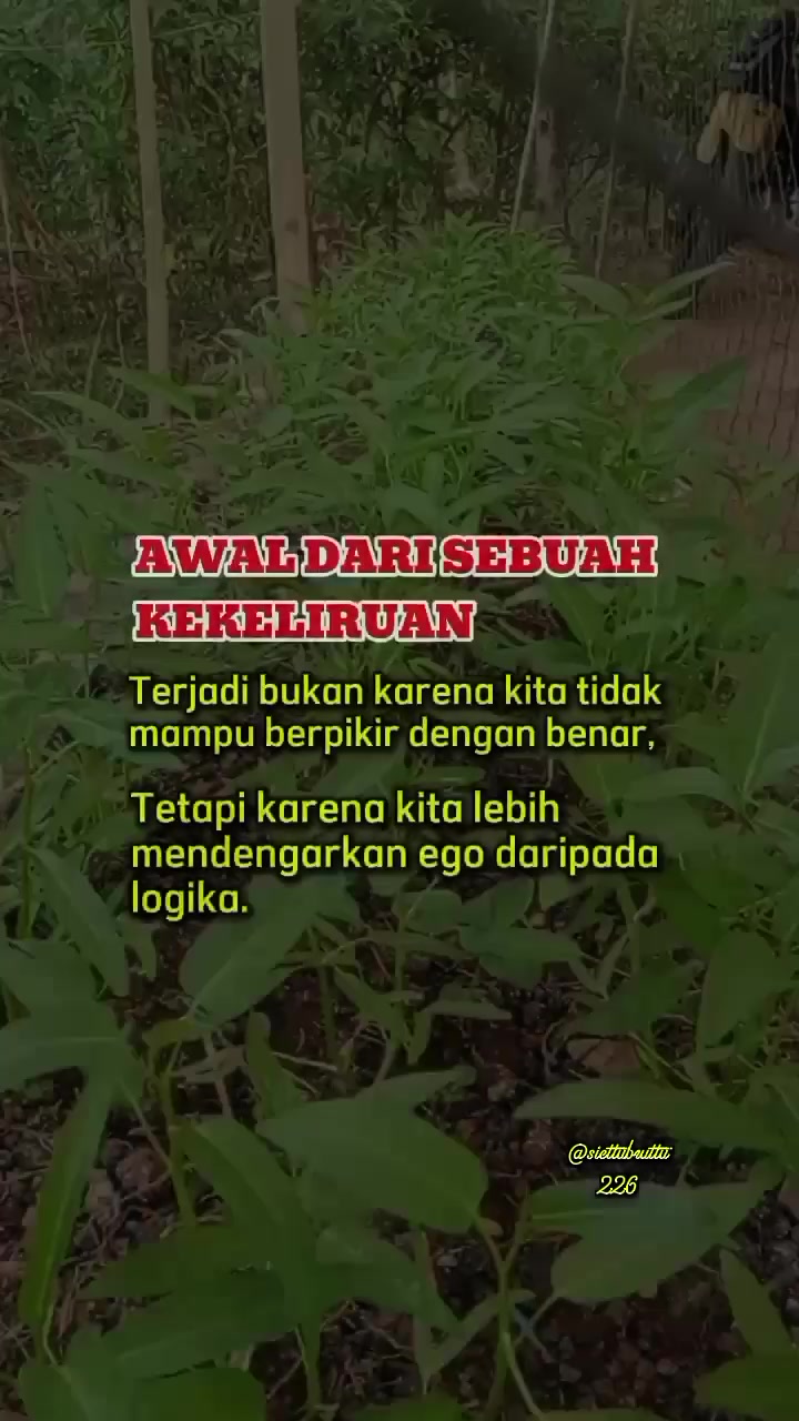 @@siettubruttu226
