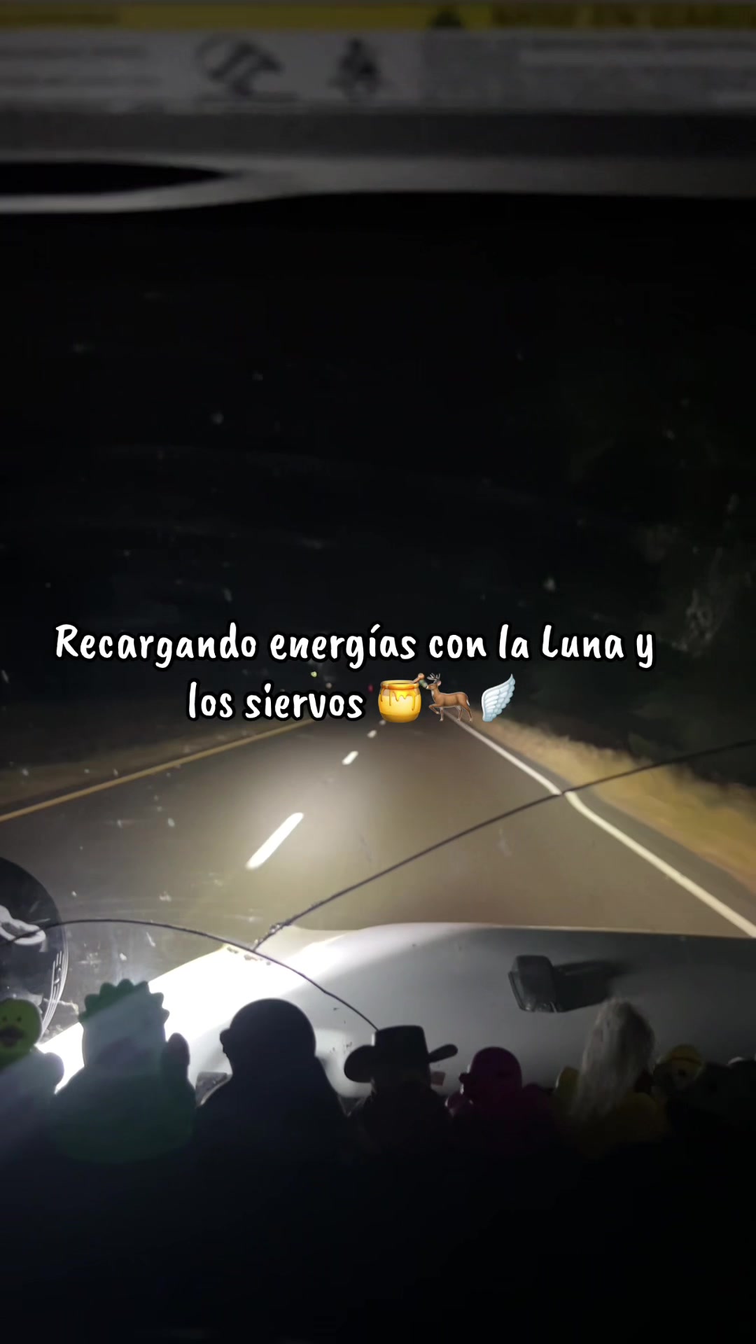 @TuziLoreley