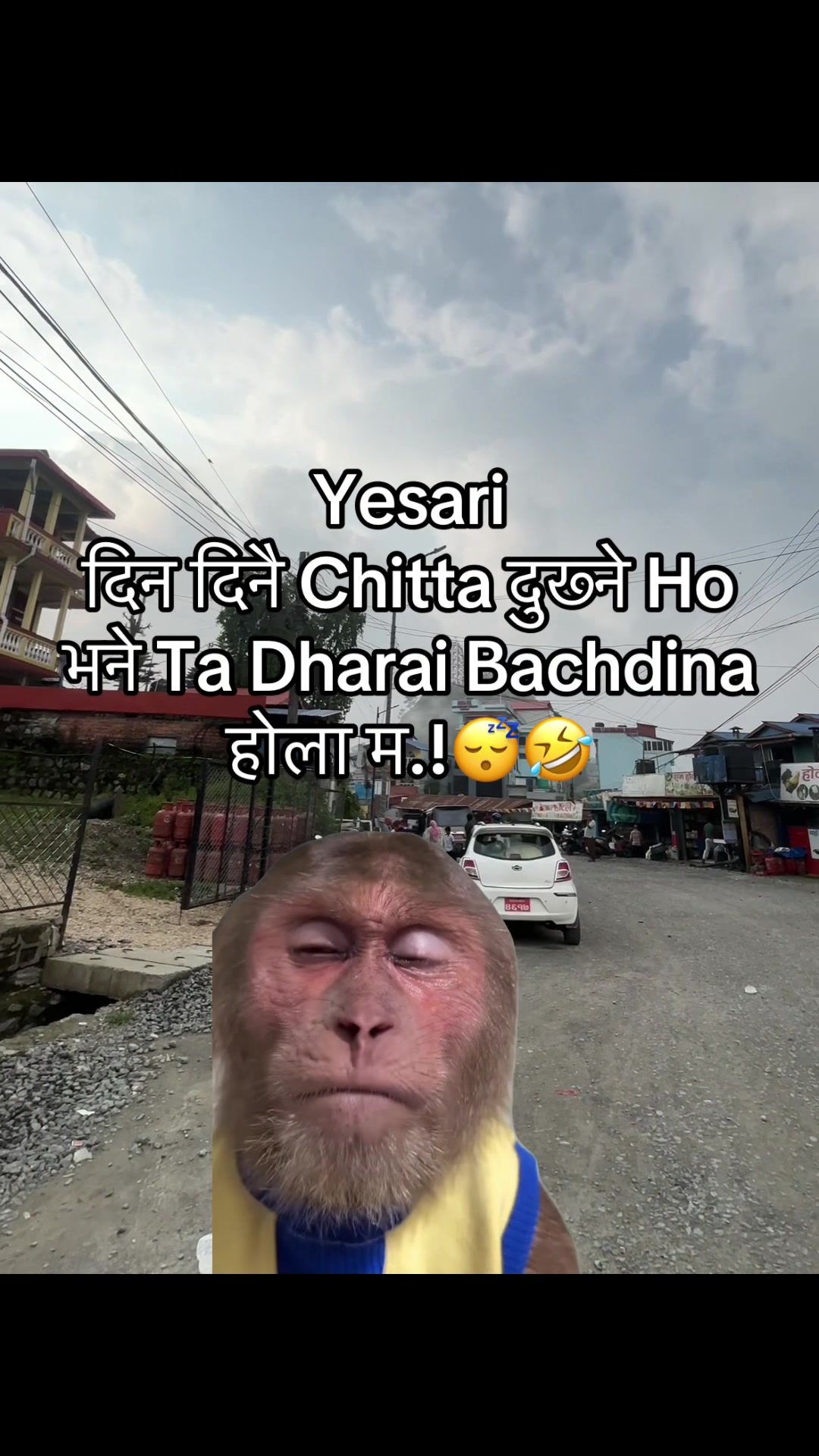 @अजय राज धामी  🇵🇹