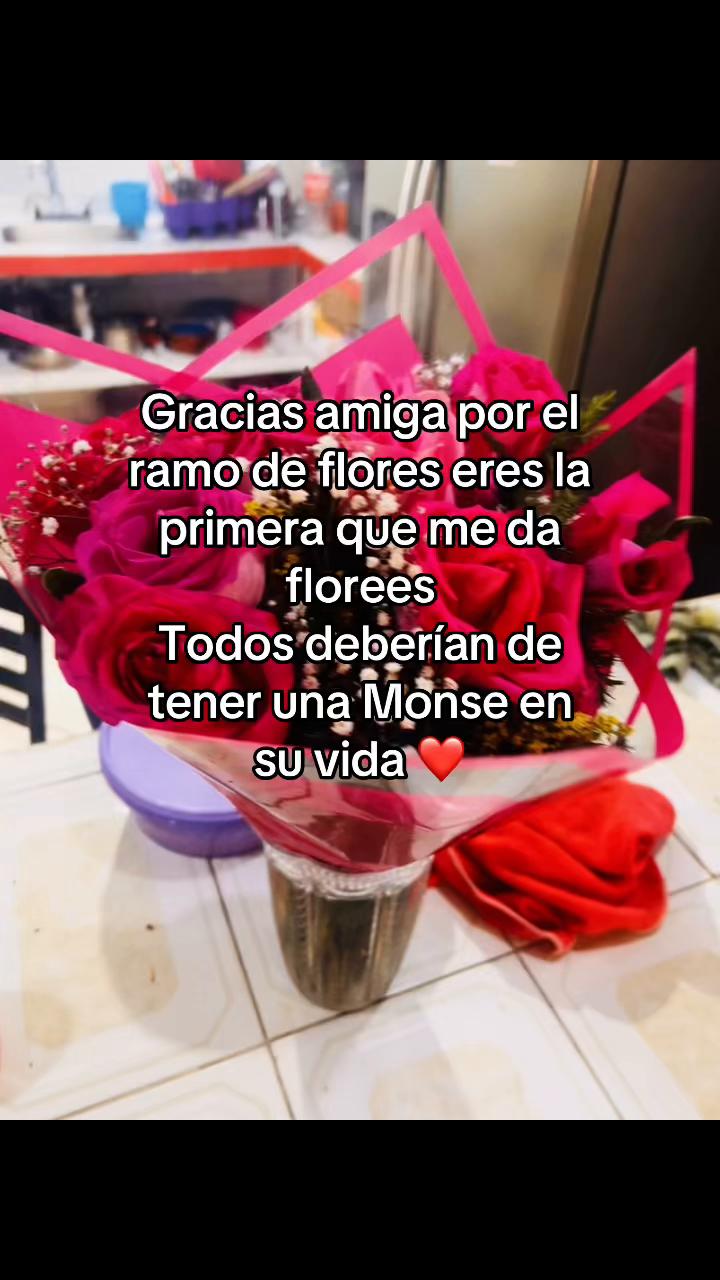@Momiz 🌸