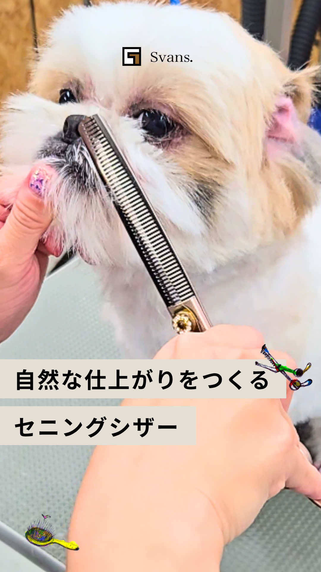 @Svans(スバンス)|トリマー向けシザー&バリカン専門