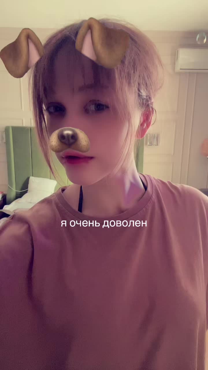@лацертида