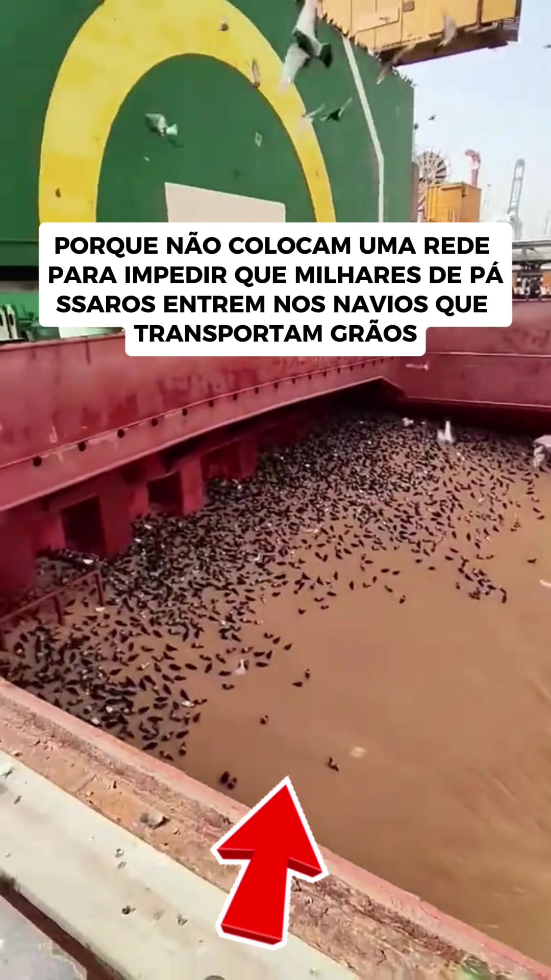 @Descobertas do Mundo
