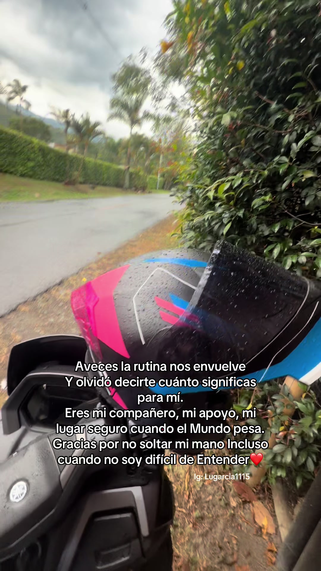 @Luisa García