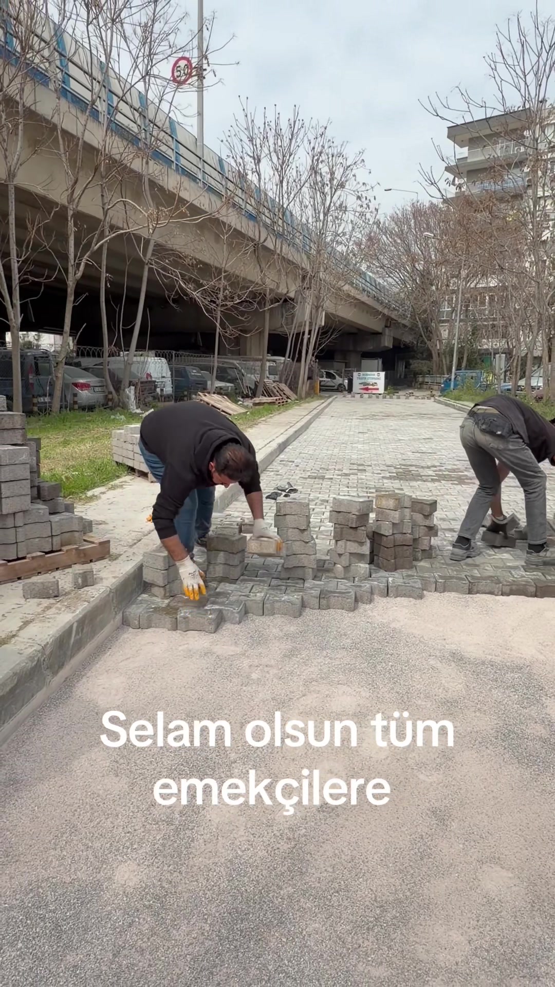 @Şeyhmus
