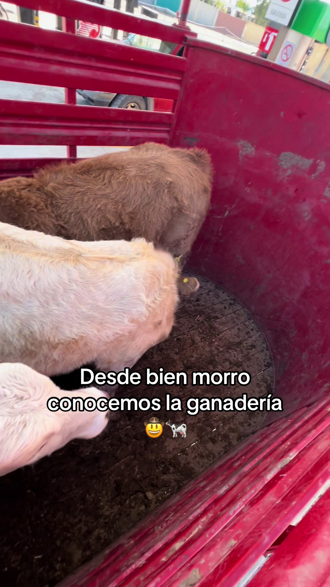 @arturo 🧔🏻♂️