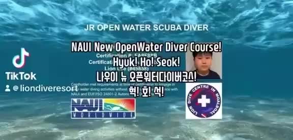 @liondiveresort