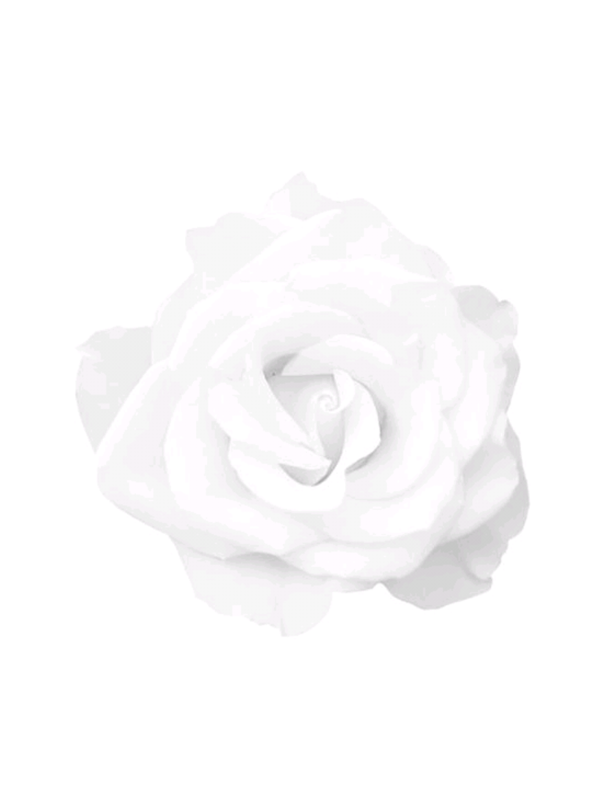 @꒰ׁׅ ྀི 𝗦︭𑄜ꮪ𑄜 ☁️ﹾྀ