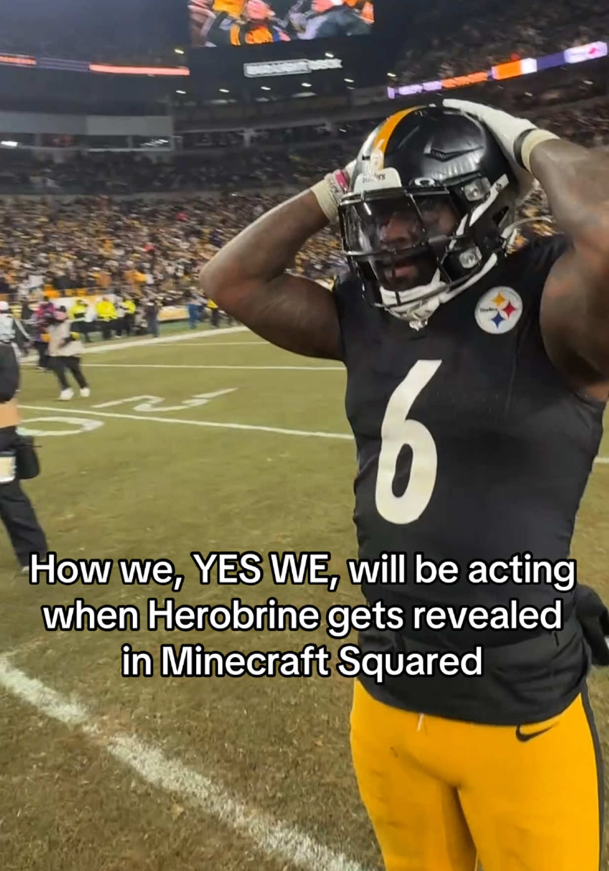 @Pittsburgh Steelers