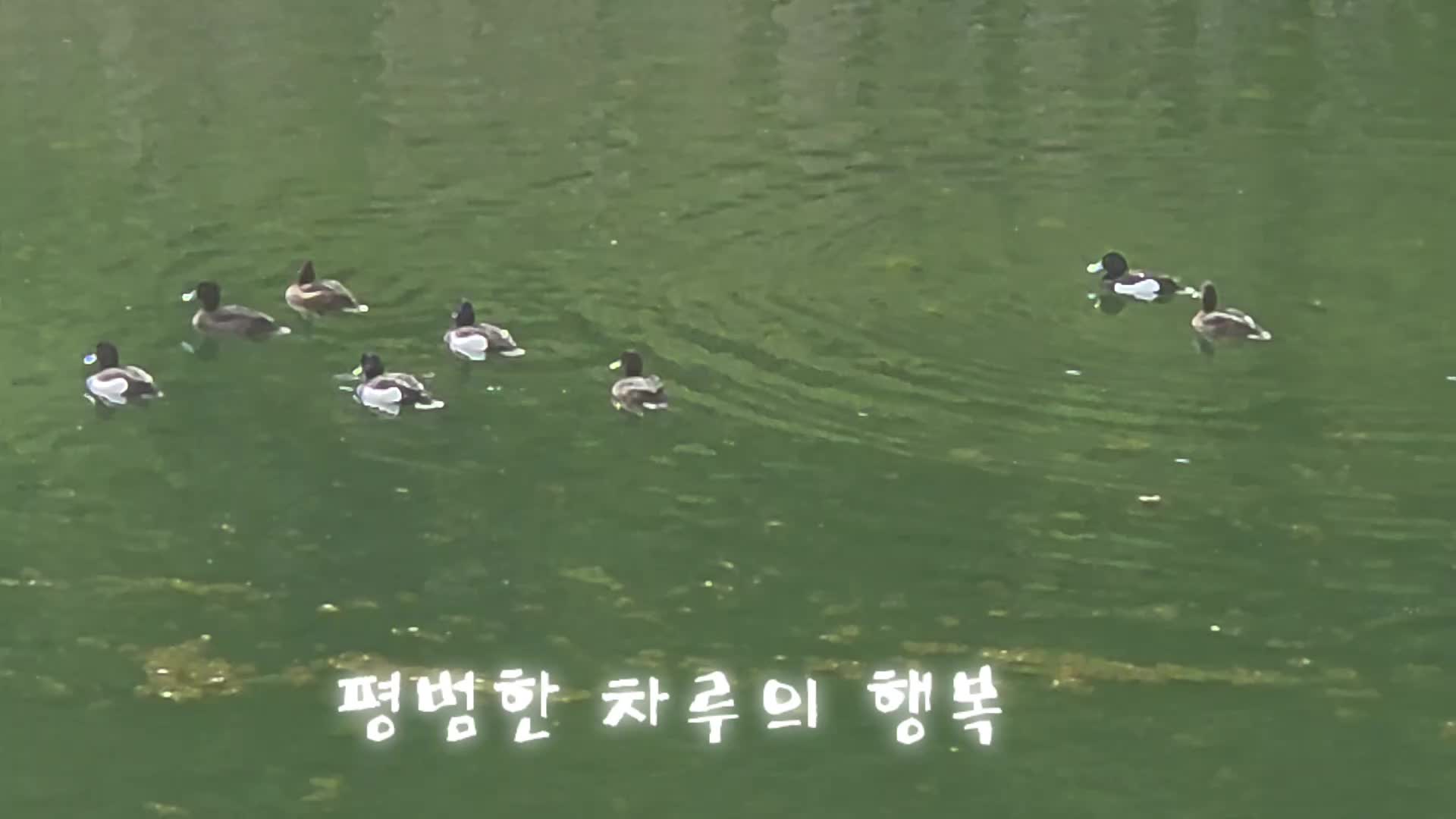 @법무사