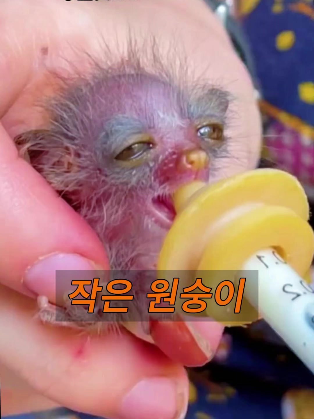 @삼촌Cut2025