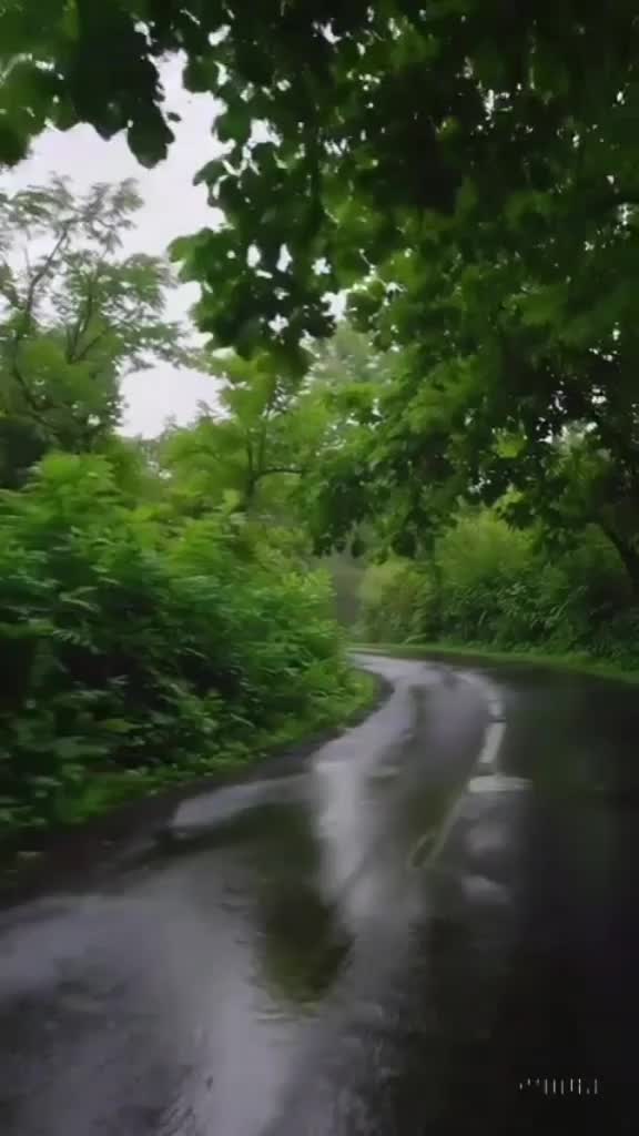 @USA Wali Maîdam