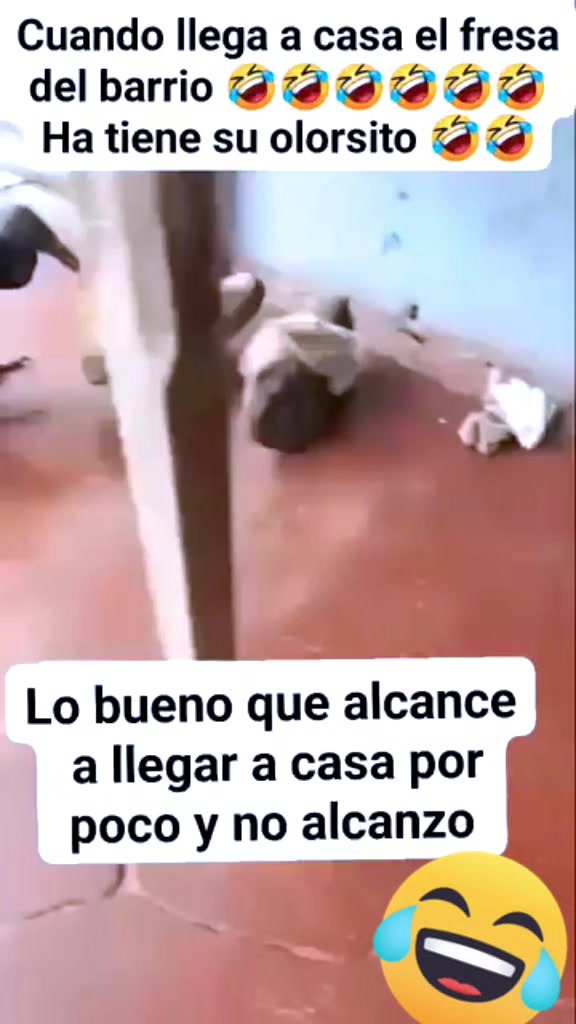 @LA VIDA ES UNA NOTA - SIGUEME