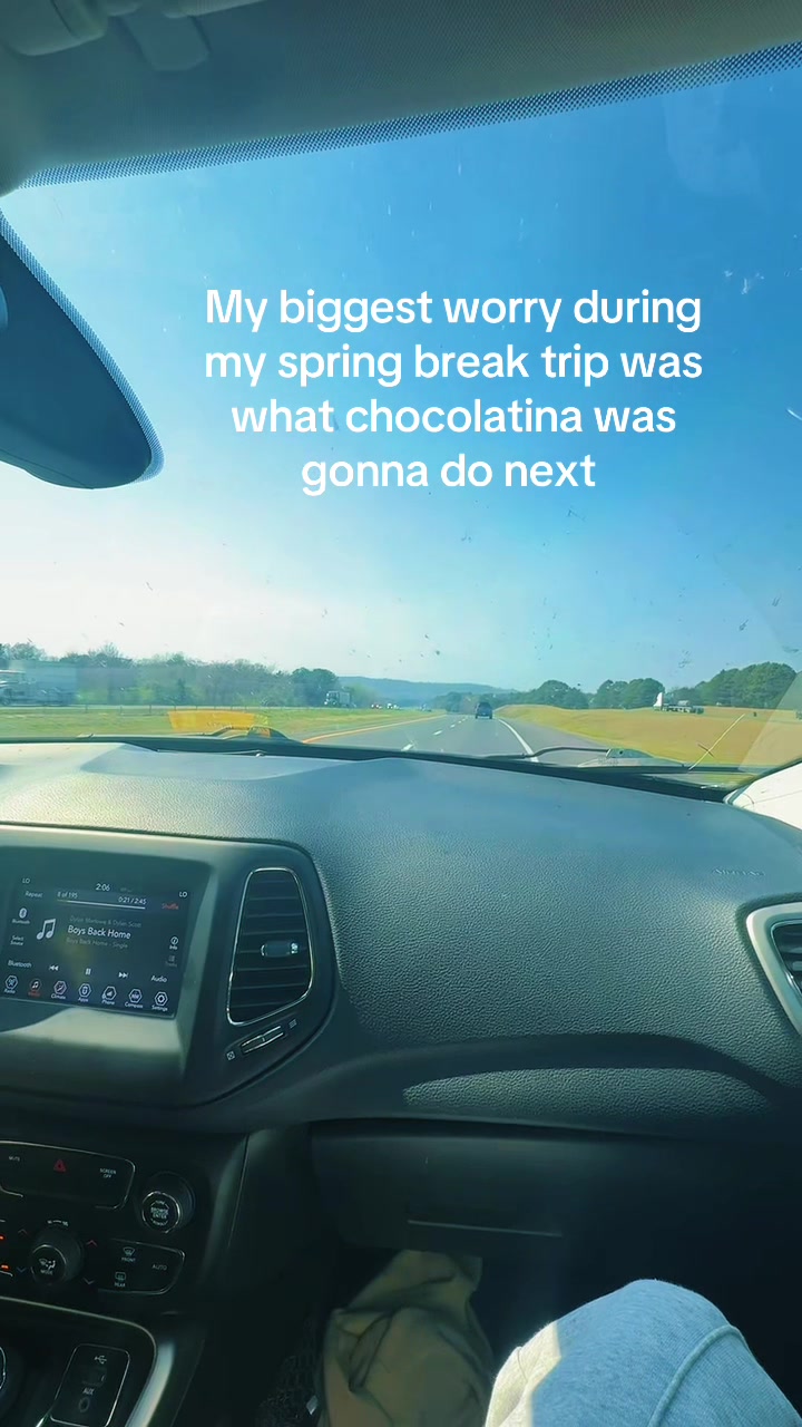 @Amber Zwick