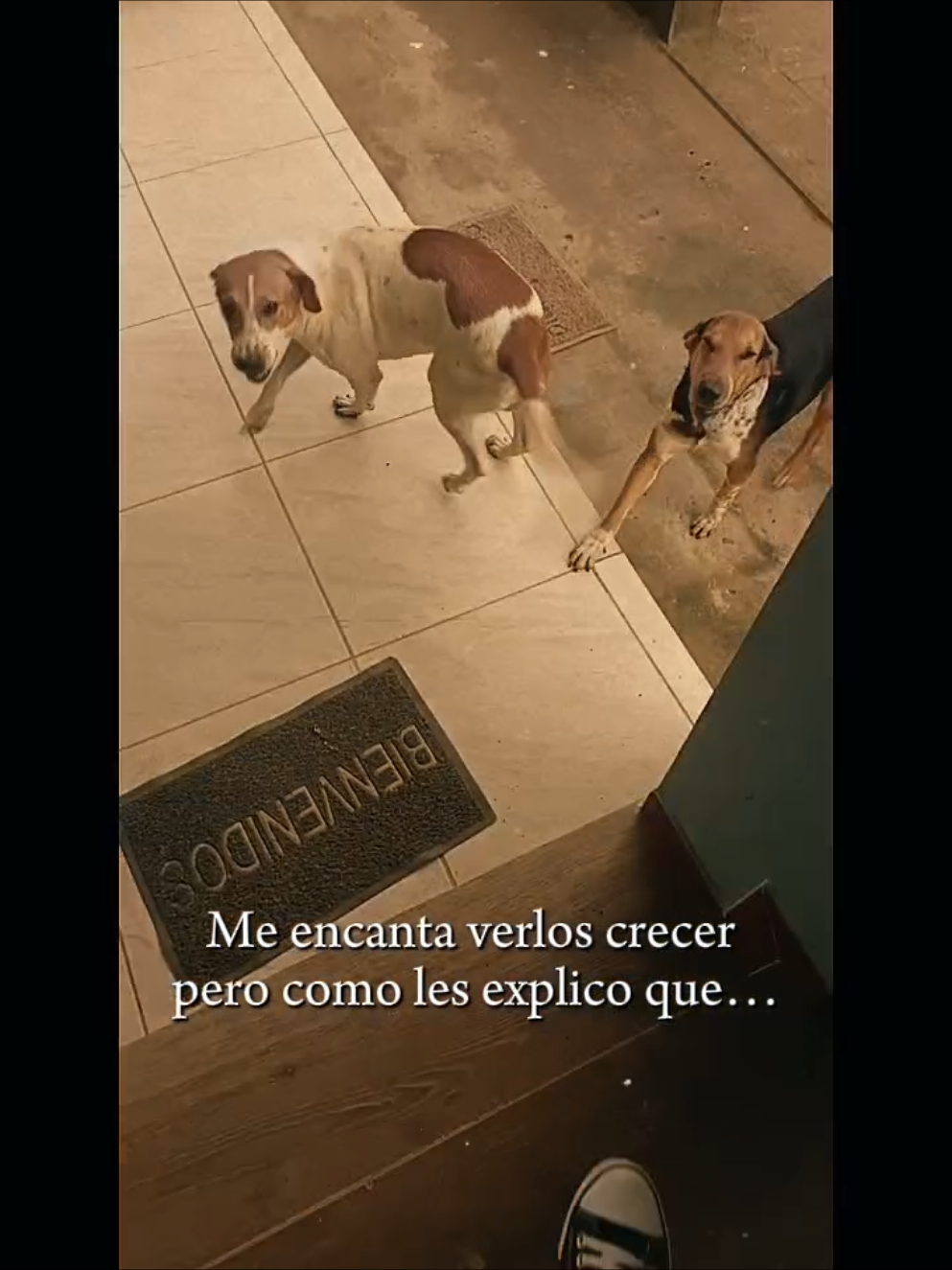 @Rubí 💎 Cantos💚