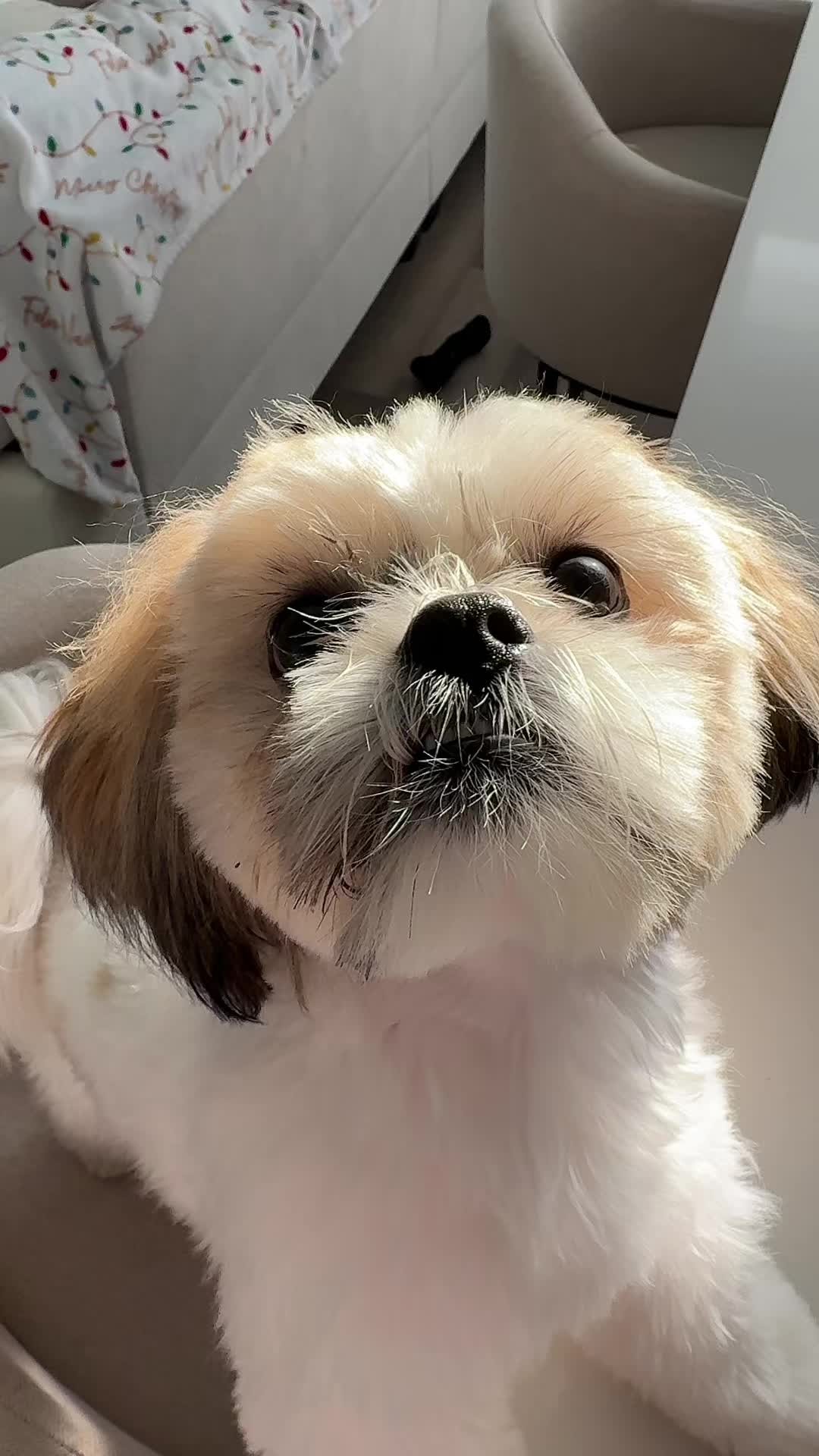 @๐