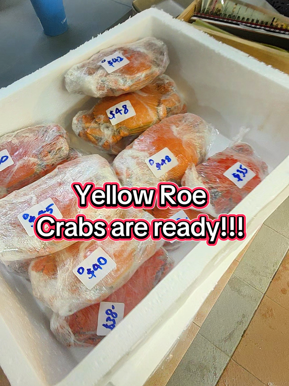@Live Seafood Supply @ Crabtalk