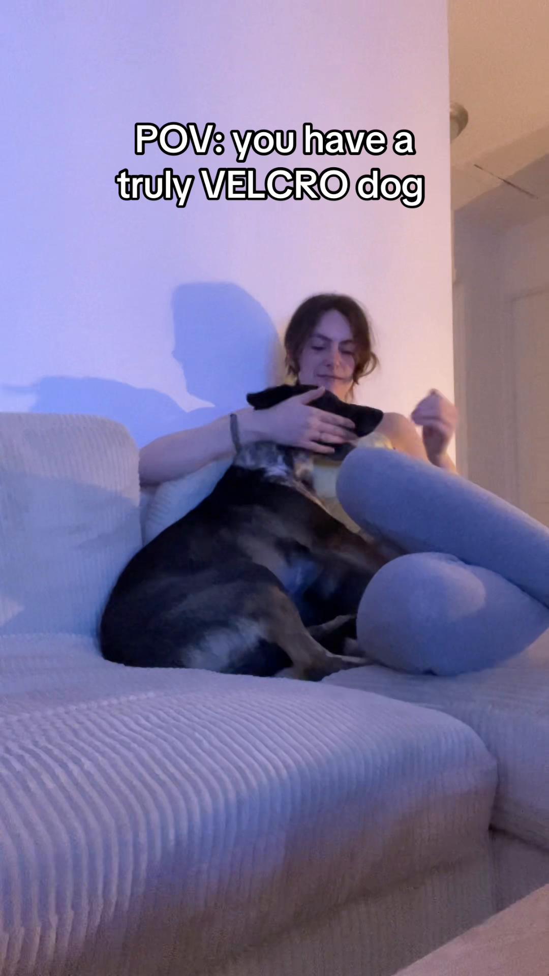 @momoandtea