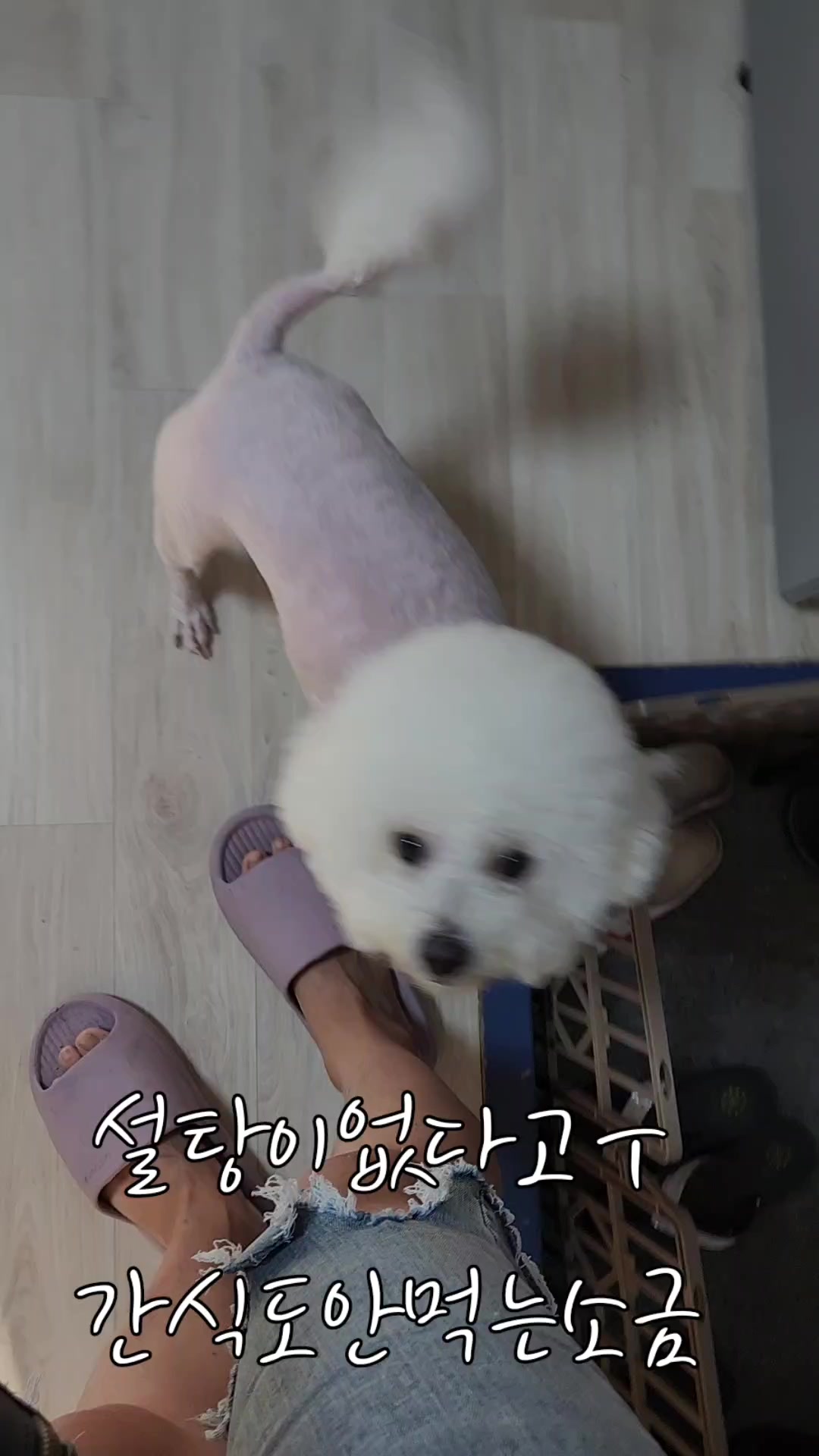 @특별한그녀♡