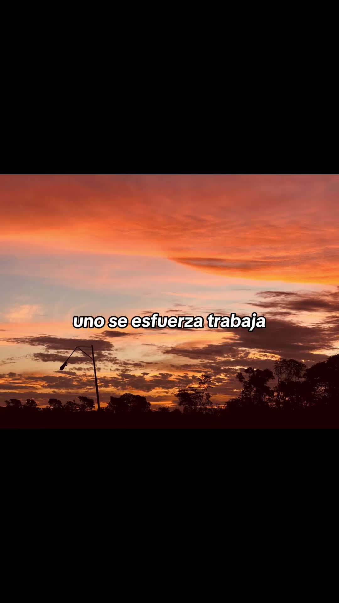 @Alexis🕷️