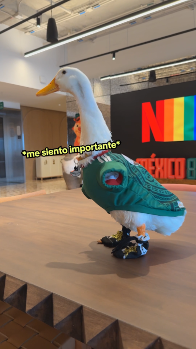 @Netflix Latinoam&eacute;rica
