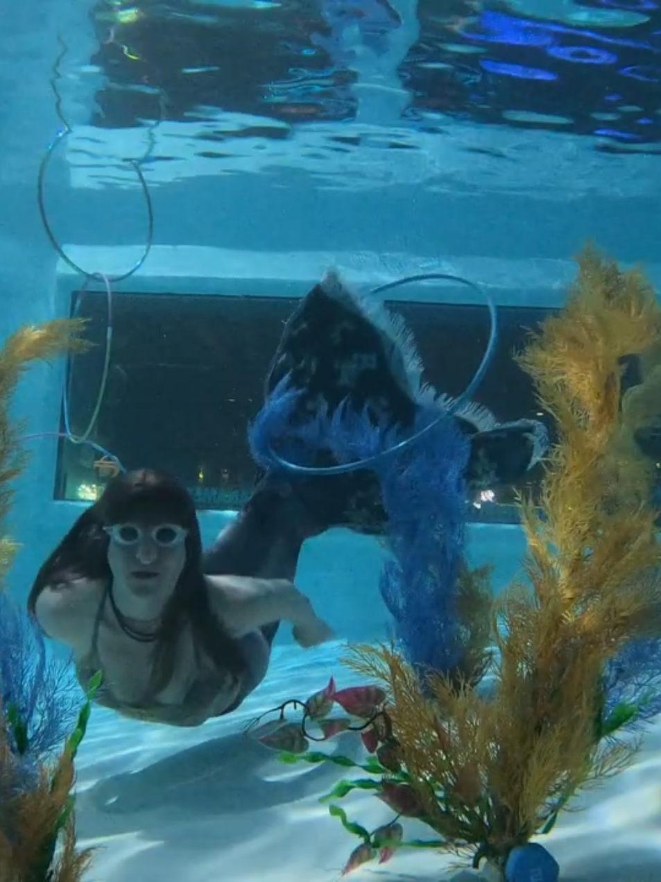 @Little Mermaid Aerial