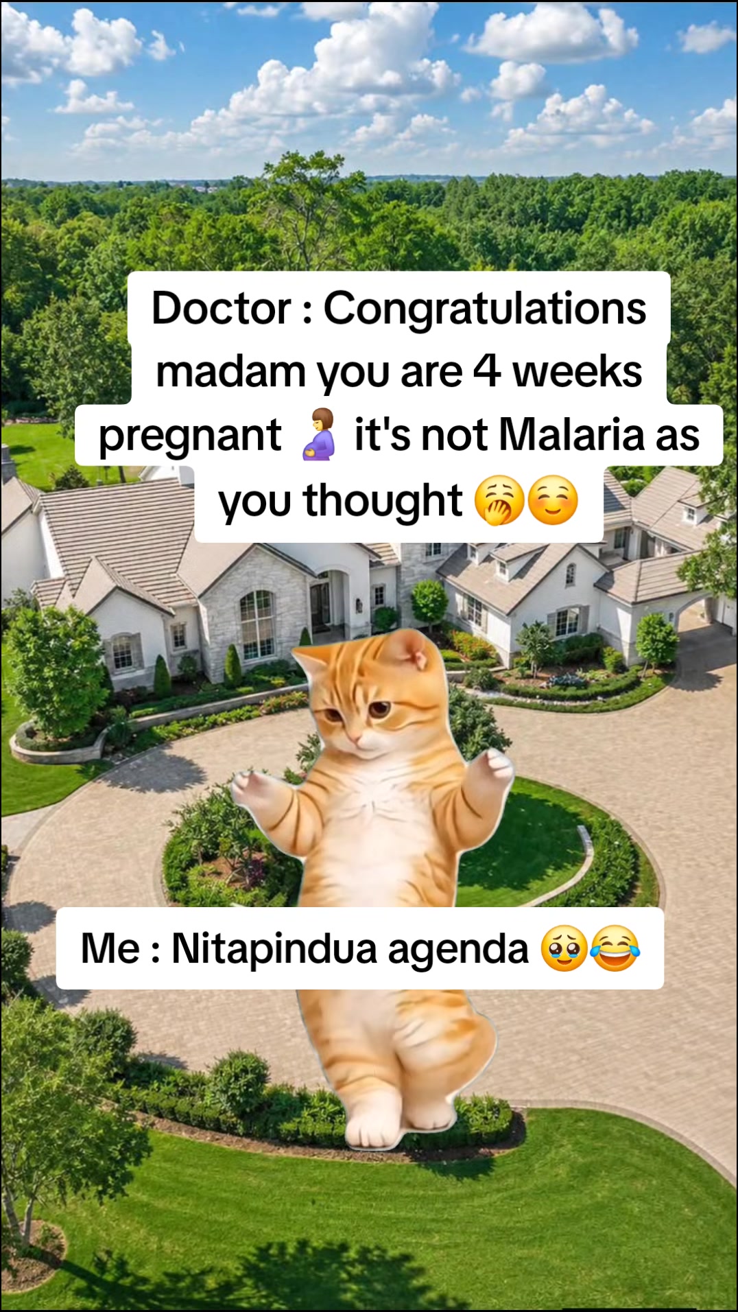 @Miss Vibez ๐ค๐๐