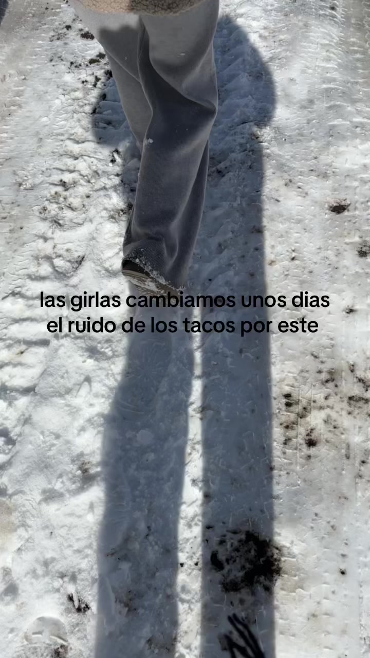 @marti feifer