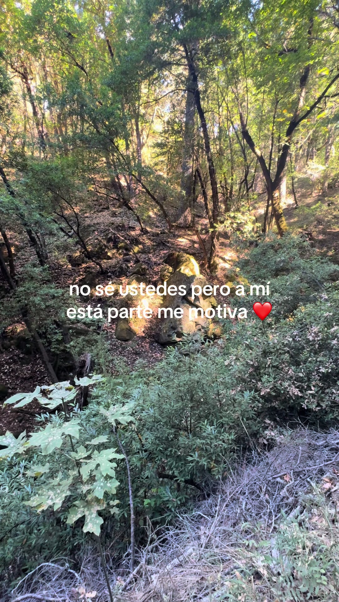 @Zahra
