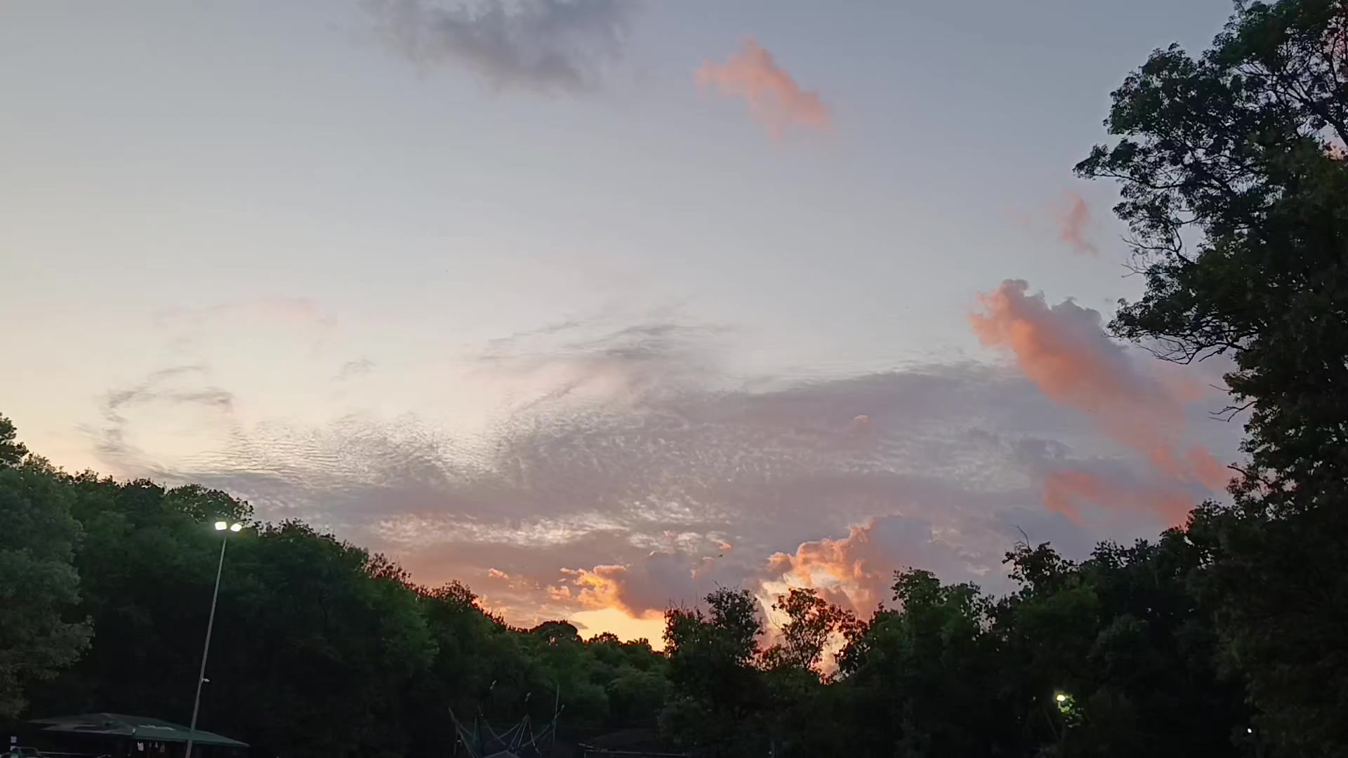 @kardelen kardelen