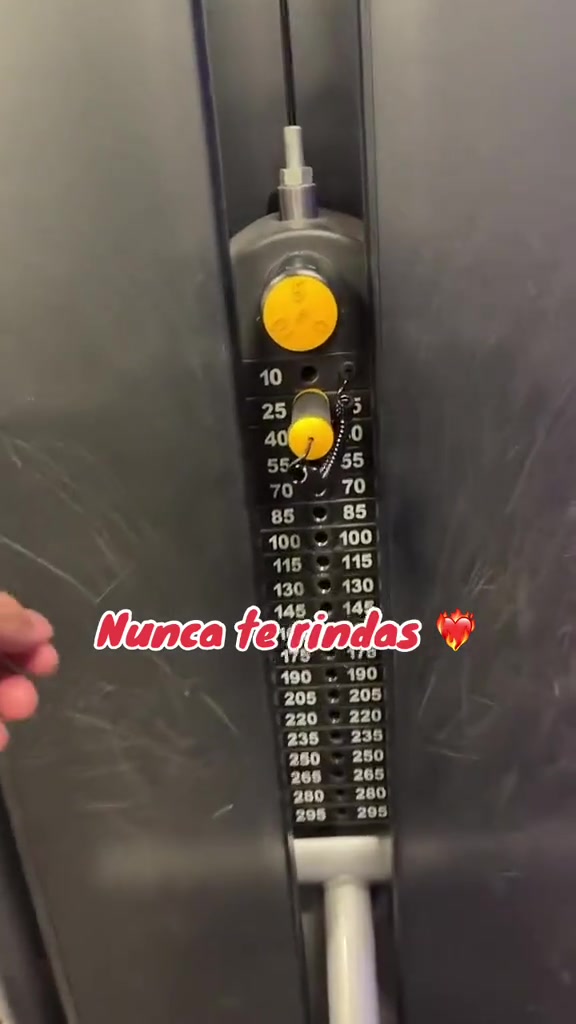 @tigrillo_mx