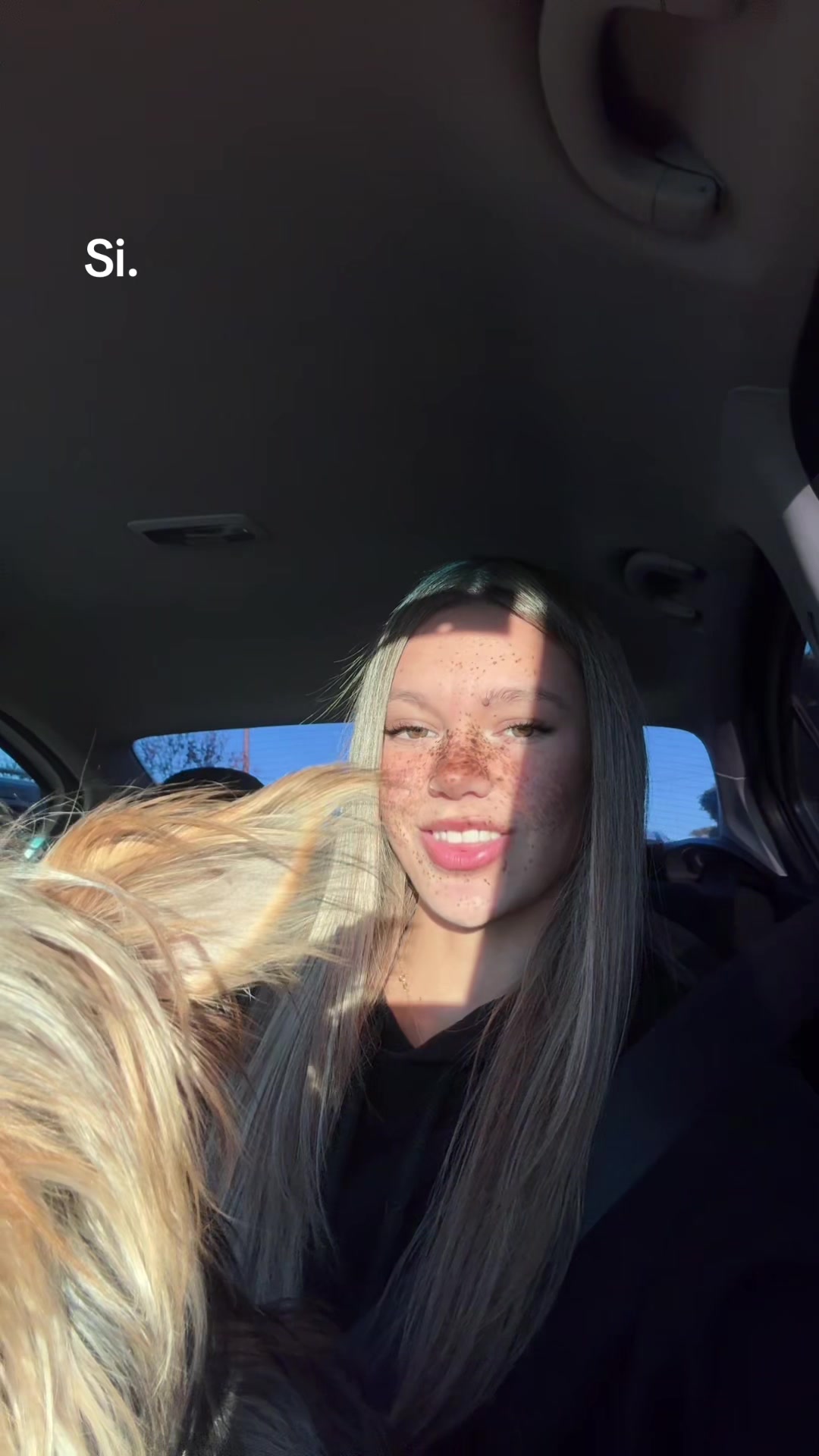 @miluulis