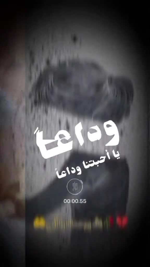 @mohamedbassat