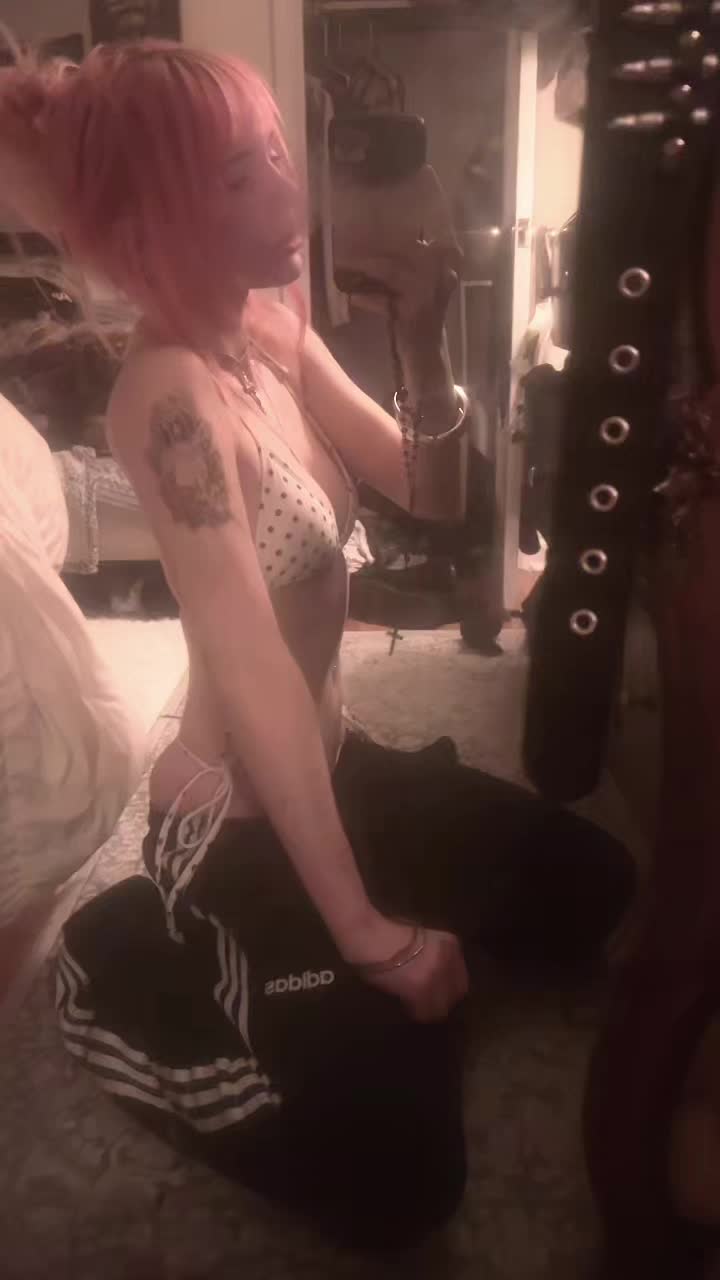 @organsaint