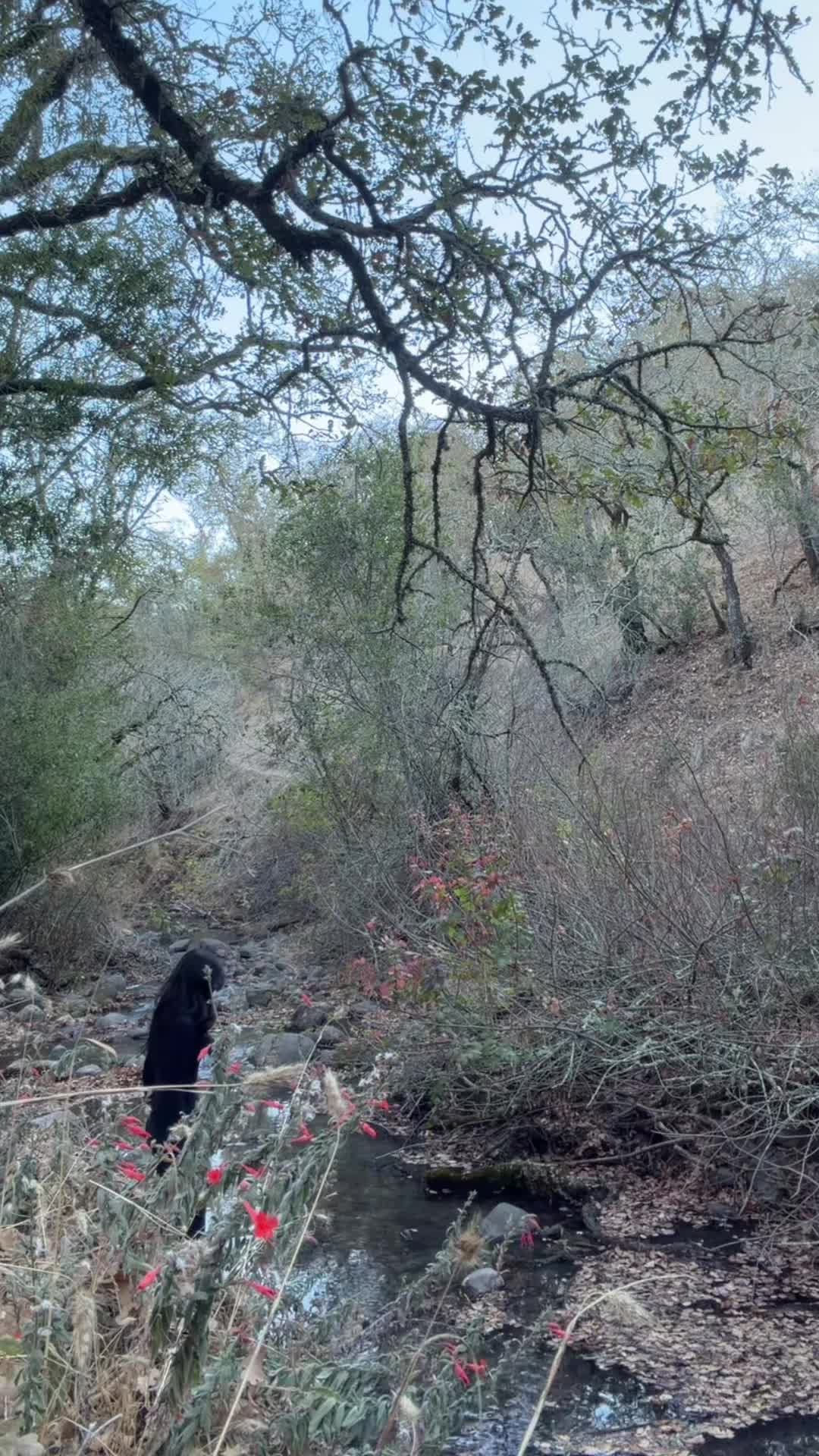 @promkweenwnnab