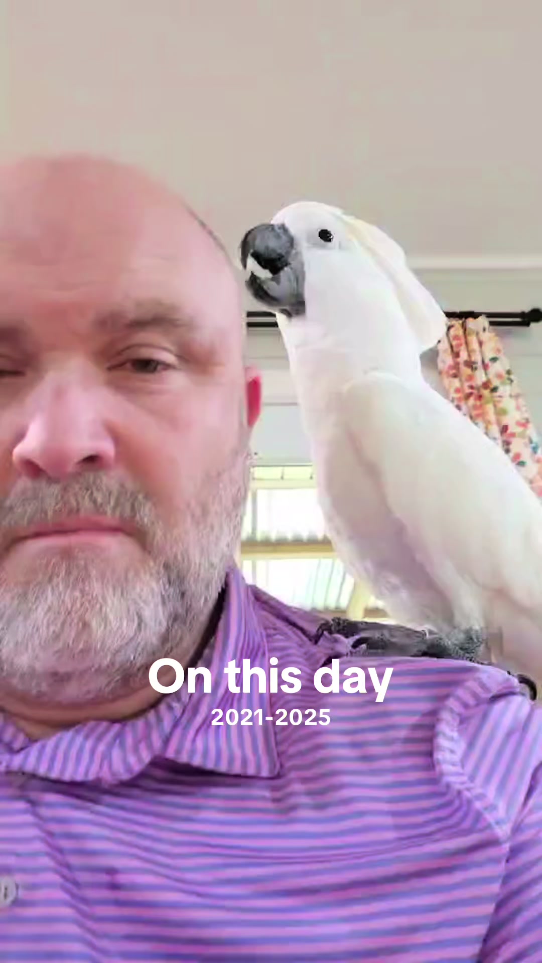 @Buster the cockatoo