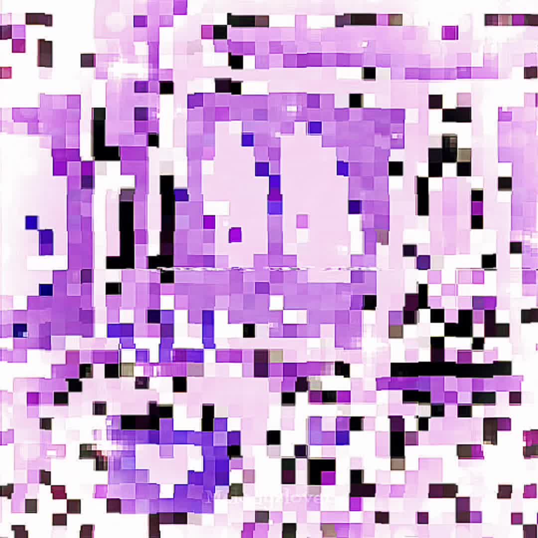 @โโโ ๐ผ๐๐๐๐๐ข โโโ