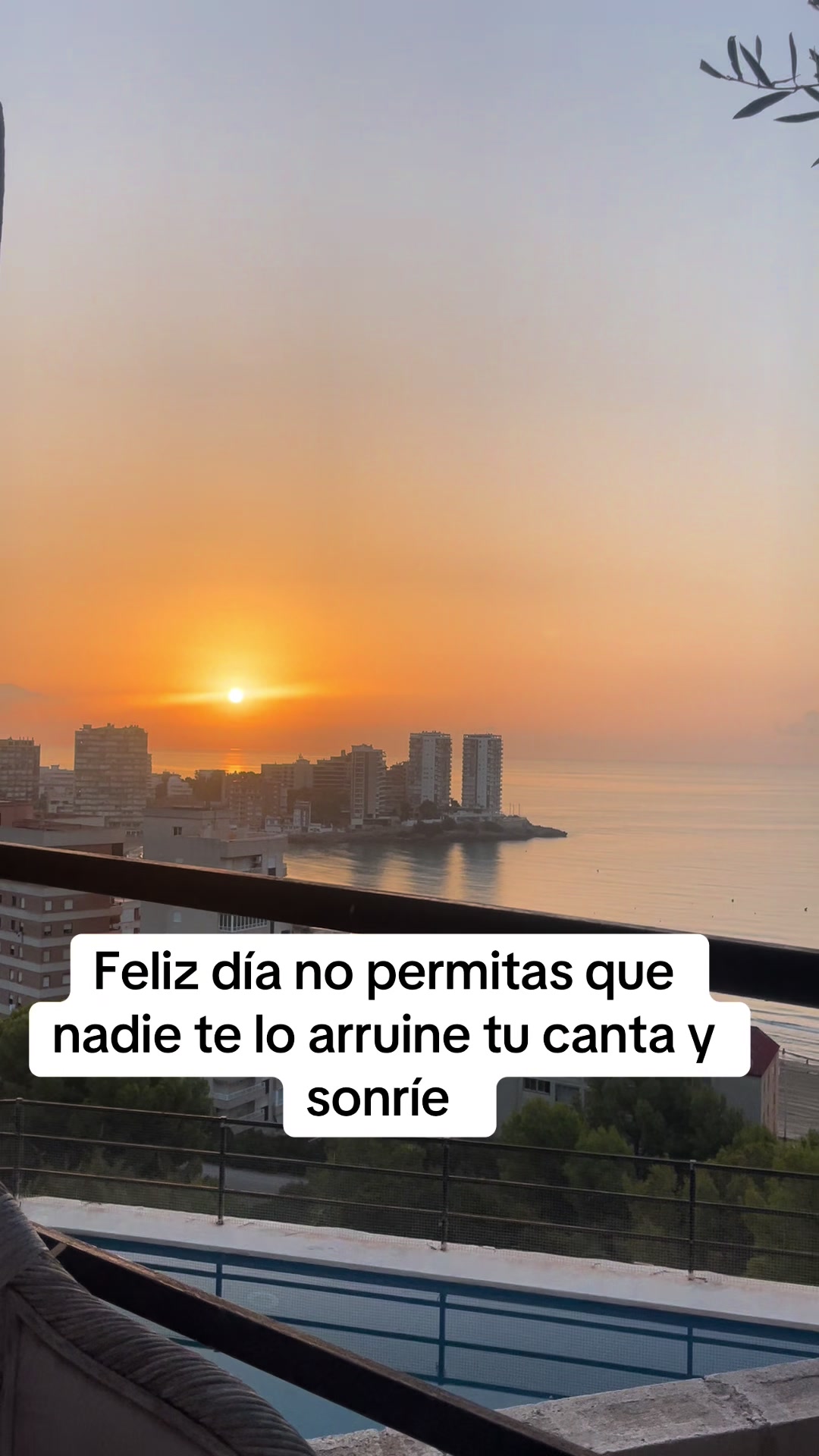 @Carmen Tomás 13
