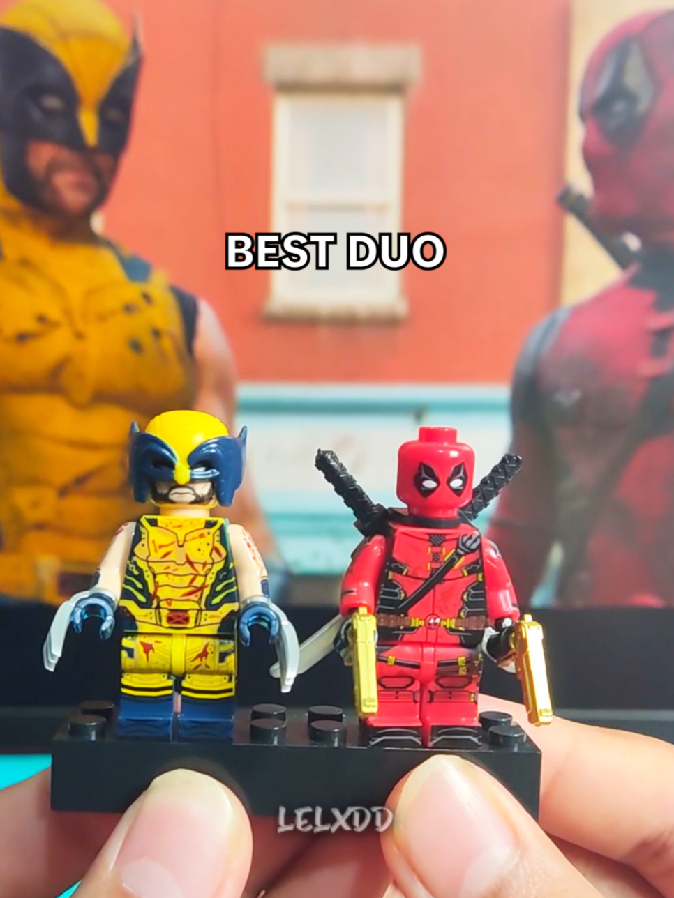 @lelxdd