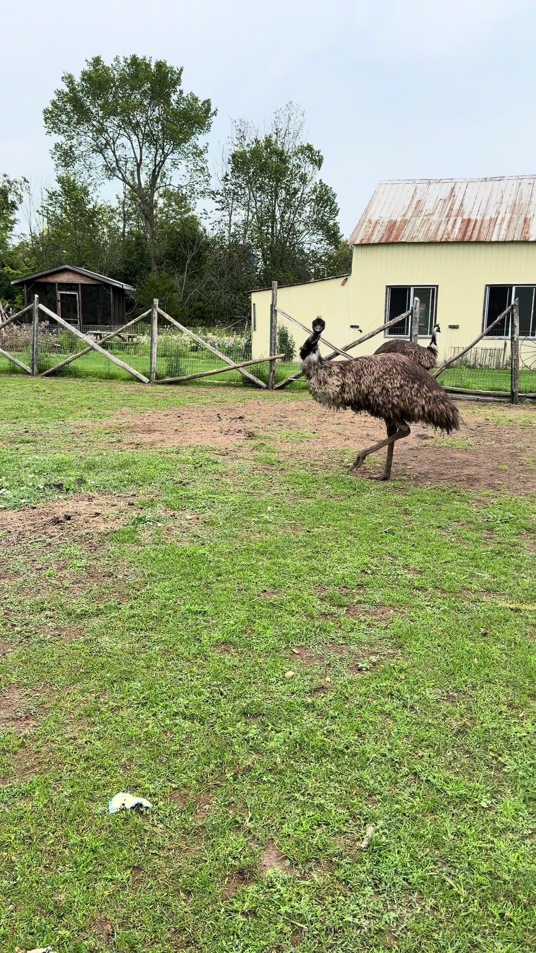 @Useless Farm