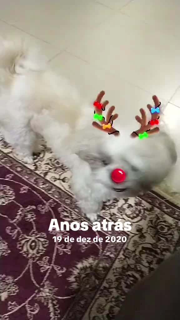 @liparecida