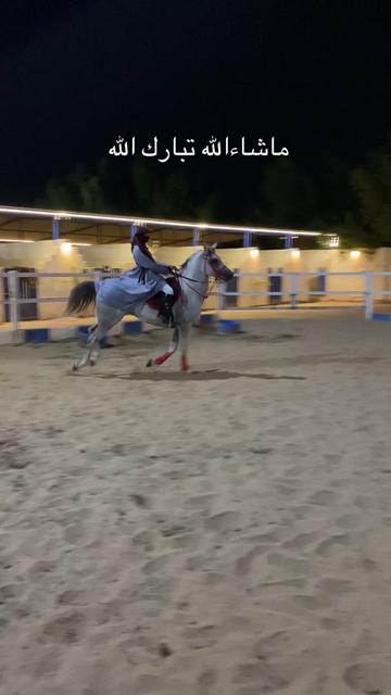 @Toly 🐎.
