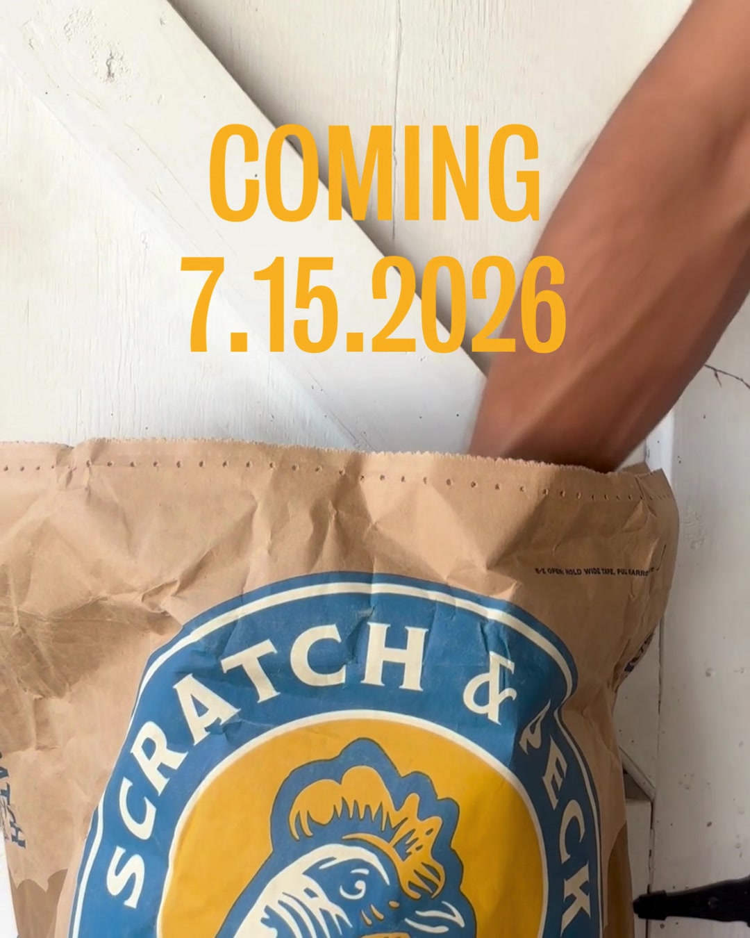 @Scratch and Peck Feeds