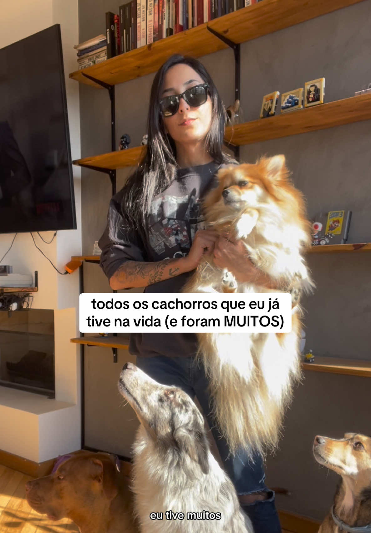 @2DOGSEMEIO