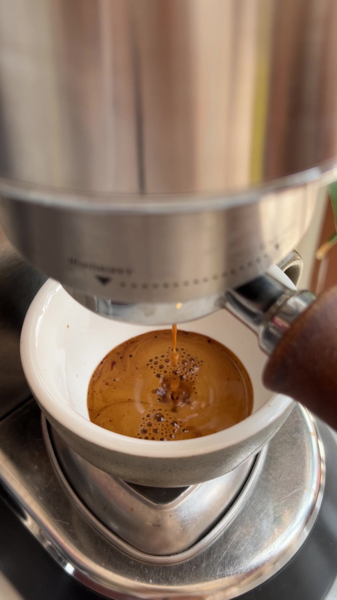 @إبـتهاج☕️🪻| جازان