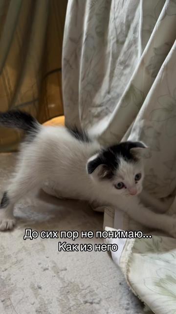 @🫐Голубика🫐
