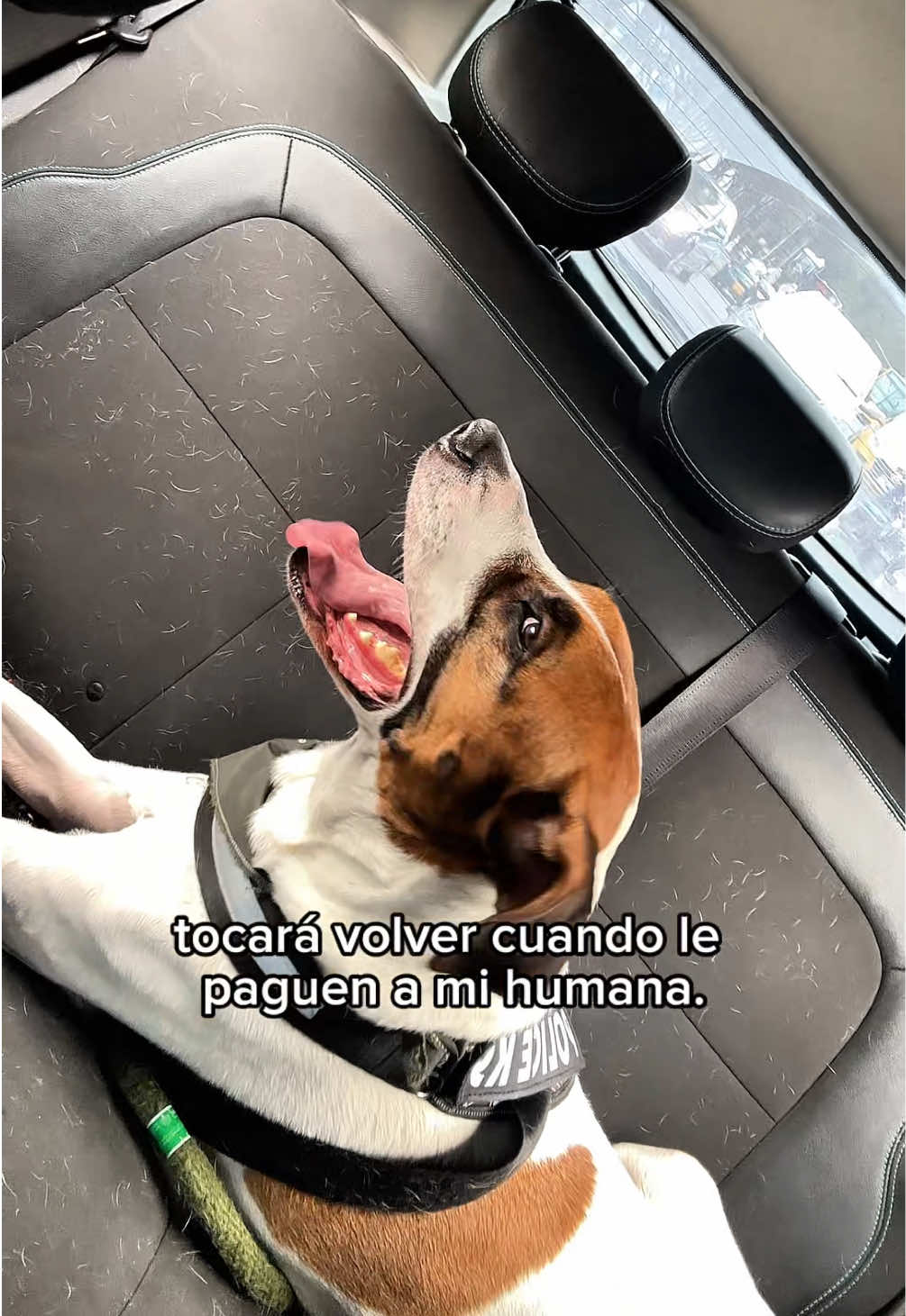 @M Yulieth Tovar🩵