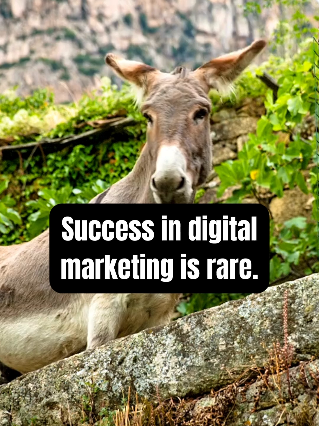 @Digital Marketing Pros ✨