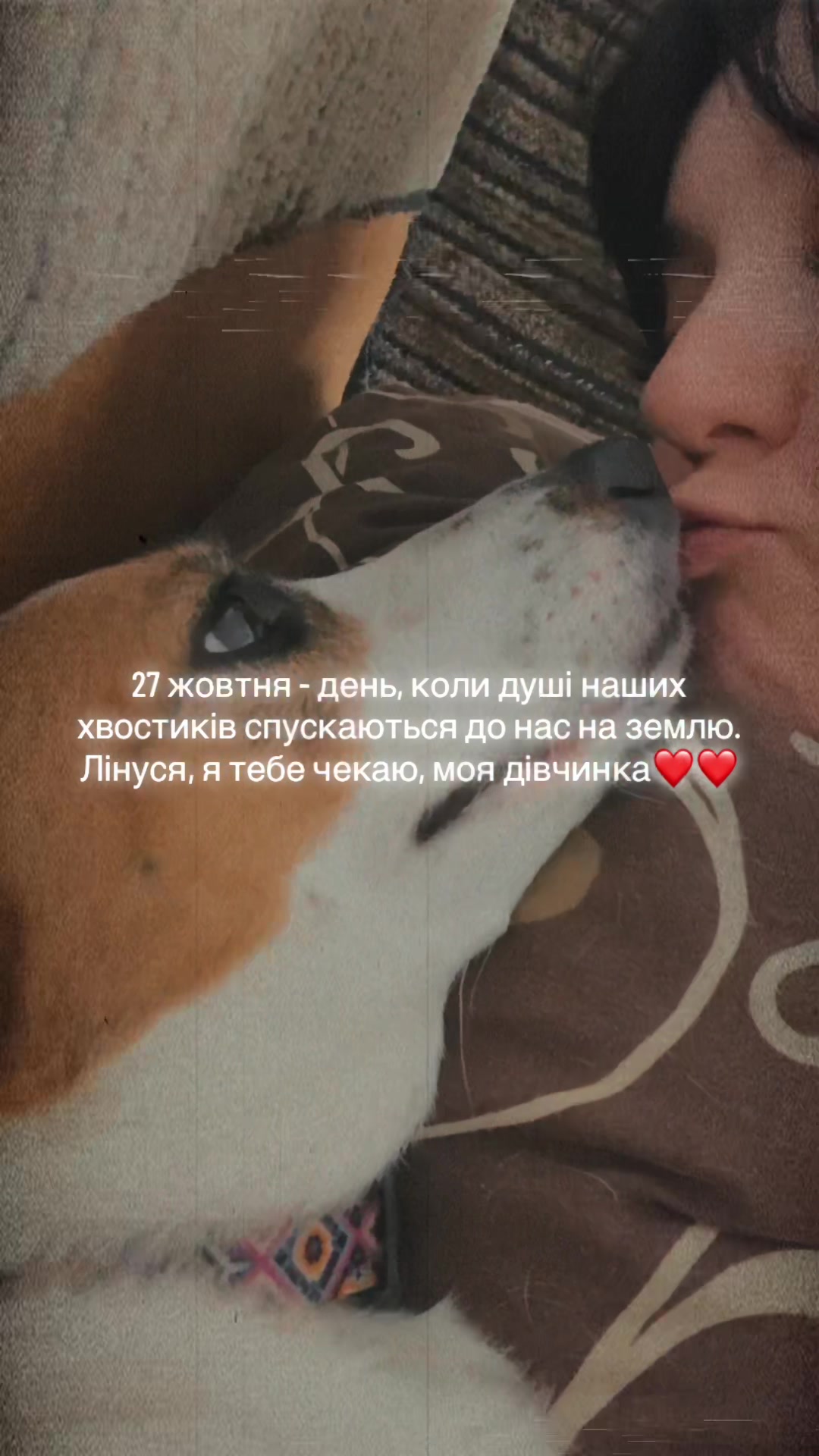 @nactya1081010810