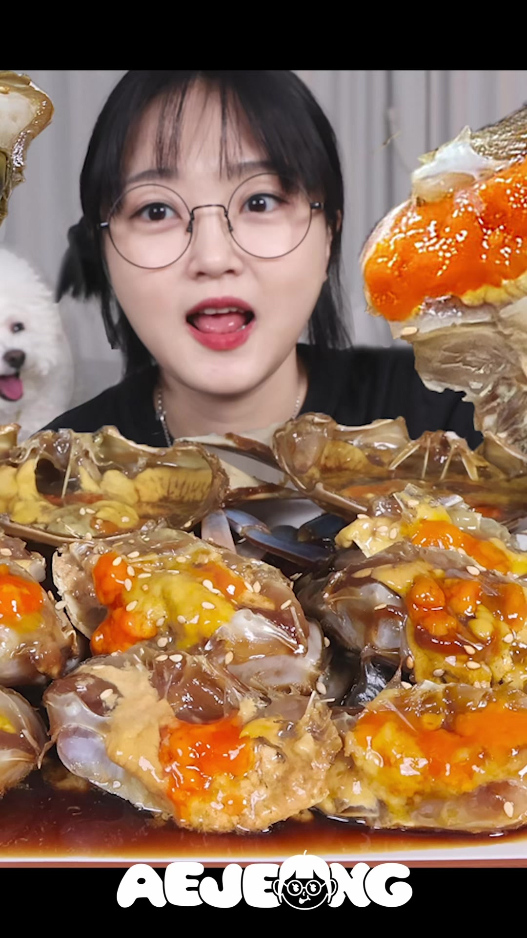 @์ ์ Aejeong๐ฐ๐ท